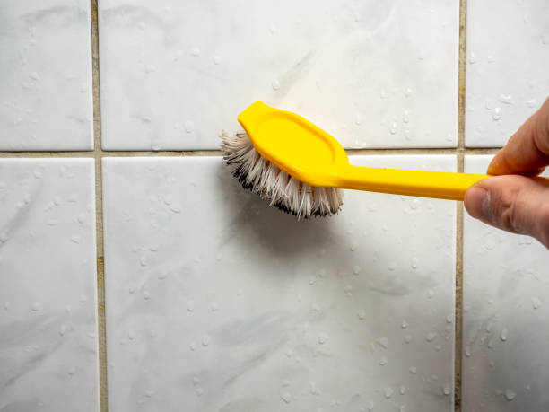 Best Emergency Mold Removal  in Ware Shoals, SC